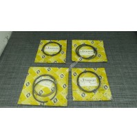 7701461060 SERIE FASCE ELASTICHE PER RENAULT R18 - R20 - R30
