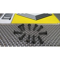 7703008064 KIT 10PZ VITE MM 5X20 APPLICAZIONI VARIE PER RENAULT CLIO - KANGOO...