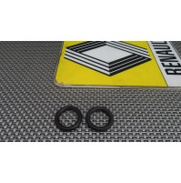 7703065085 2 PZ ORINGA PER RENAULT APPLICAZIONI VARIE MM 24X5,8