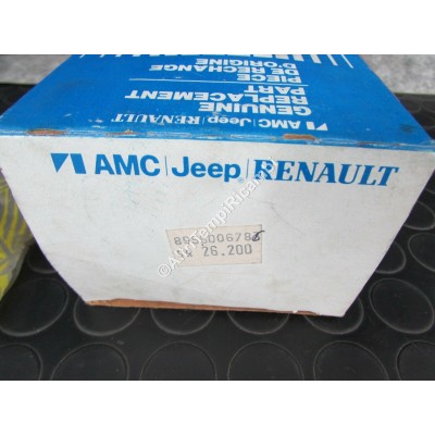 BANDA DECORATIVA VETRO LATERALE POST INFERIORE DX RENAULT CHEROKEE 8955006786-2