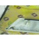 BASE SUPPORTO MODANATURA SX RENAULT R25 7700783169