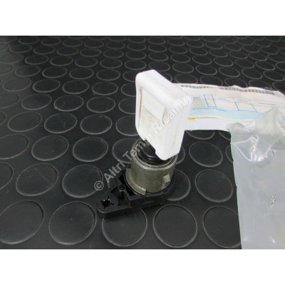 BLOCCHETTO CILINDRETTO ANT DX RENAULT LAGUNA 7701470747-0