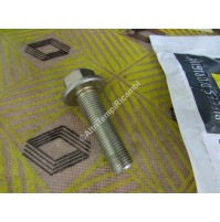 BULLONE PULEGGIA ALBERO MOTORE RENAULT MASTER II