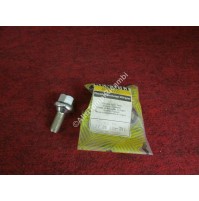 BULLONE RUOTA RENAULT 770068012