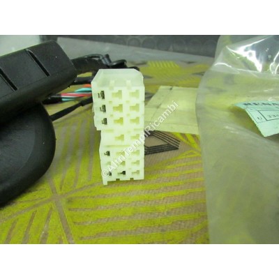 CABLAGGIO RENAULT R21 7701987700-0