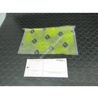 CARTELLINO CON OCCHIELLO RENAULT 0060000012