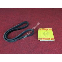 CINGHIA ALTERNATORE E SERVIZI CITROEN JUMPER PV884K6