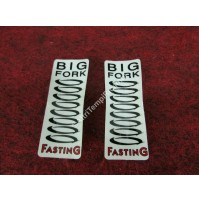 COPPIA ADESIVI BIG FORK FASTING