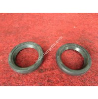 COPPIA PARAOLI ANELLO DI TENUTA MOTO D'EPOCA DEL 1929