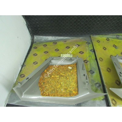 COPPIA RIVESTIMENTO INTERNO RENAULT 7700696681-9