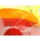 FANALE CON LUCE TARGA RENAULT 7701366013