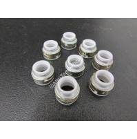 KIT 8 ANELLI DI TENUTA PARAOLIO FIAT 5924103