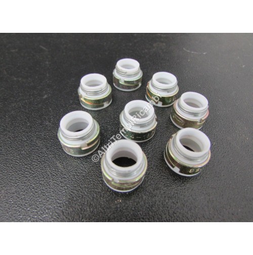 KIT 8 ANELLI DI TENUTA PARAOLIO FIAT 5924103
