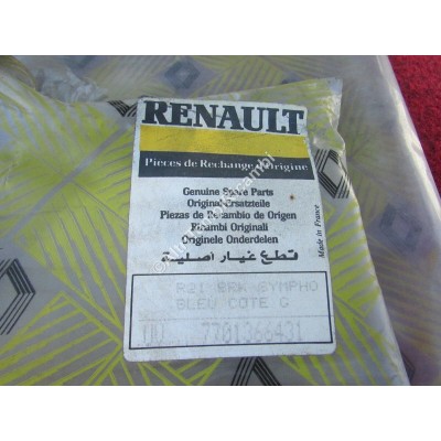 KIT BANDE ADESIVI STRISCE DECALCOMANIA DECORATIVE RENAULT R21 7701366431-1