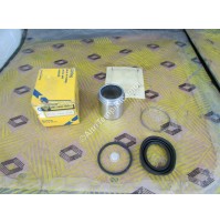 KIT REVISIONE PINZA FRENO RENAULT 7701200752