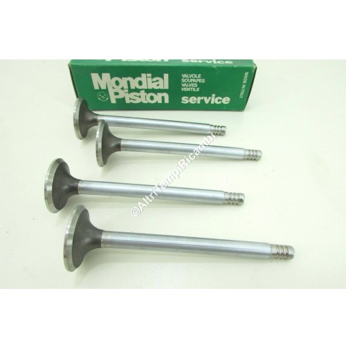 SERIE VALVOLE SCARICO FIAT 242 D - MOTORE CITROEN 5502860 EXHAUST VALVE SET AUSL