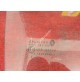VETRO SCENDENTE PORTA ANT DX RENAULT R19 7700780543